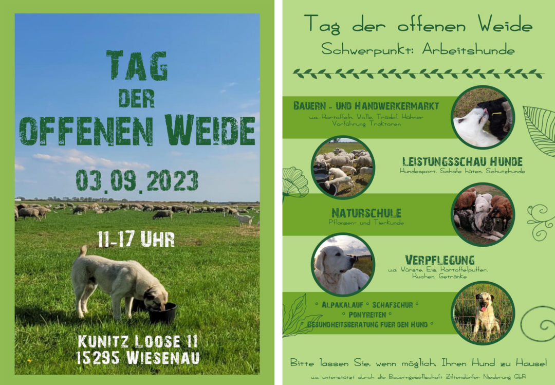 Tag der offenen Weide